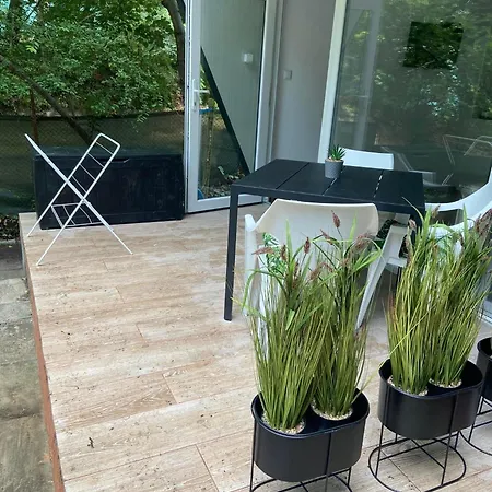 Campsite албатрос