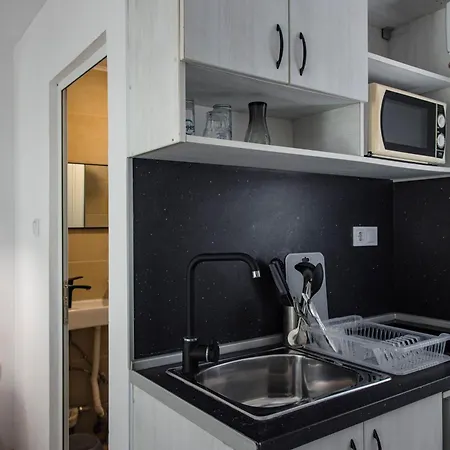 албатрос Varna