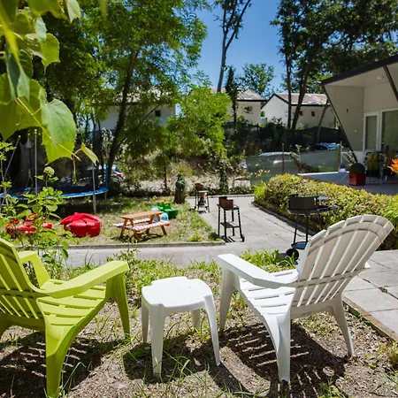 Campsite албатрос *